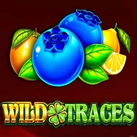 Wild Traces online game logo by Amusnet Interactive on panosta.eu